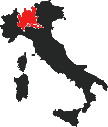 Consulenza aziendale Mantova 3 Consulenza aziendale Mantova
