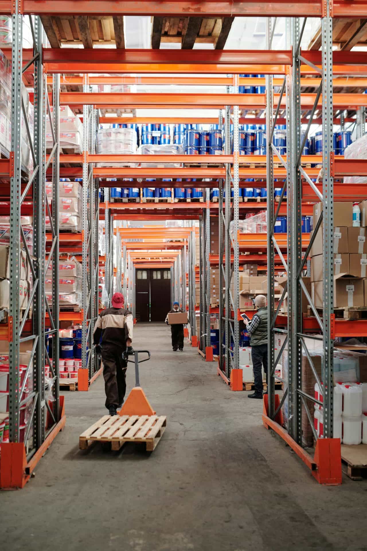 Logistica - Assessment 4 pexels tiger lily 4483772 1