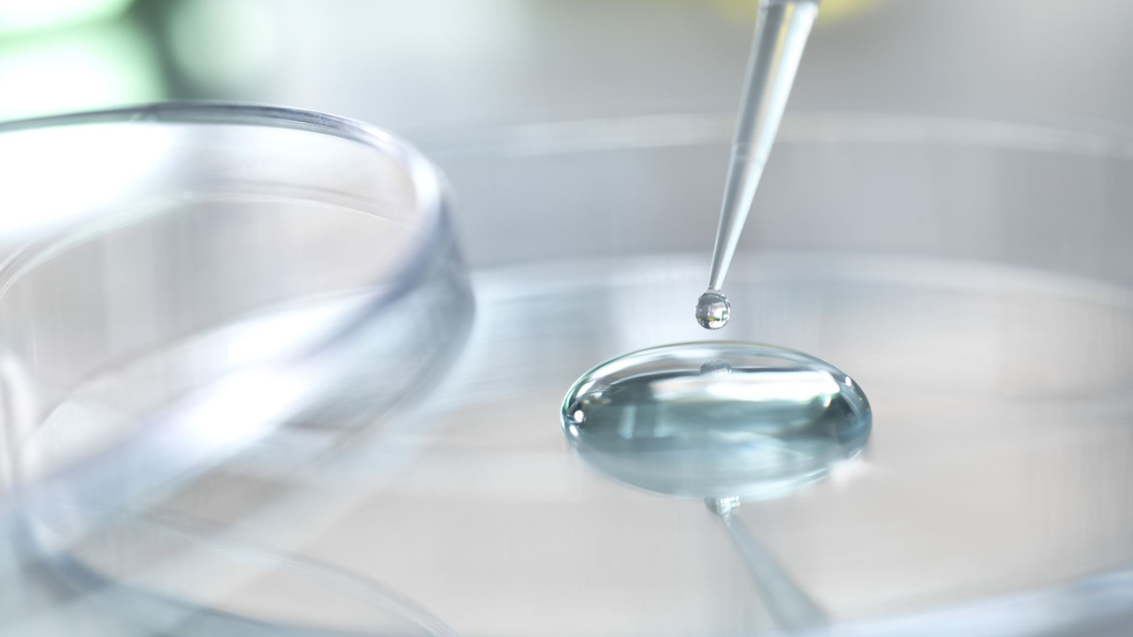 Consulenza settore farmaceutico