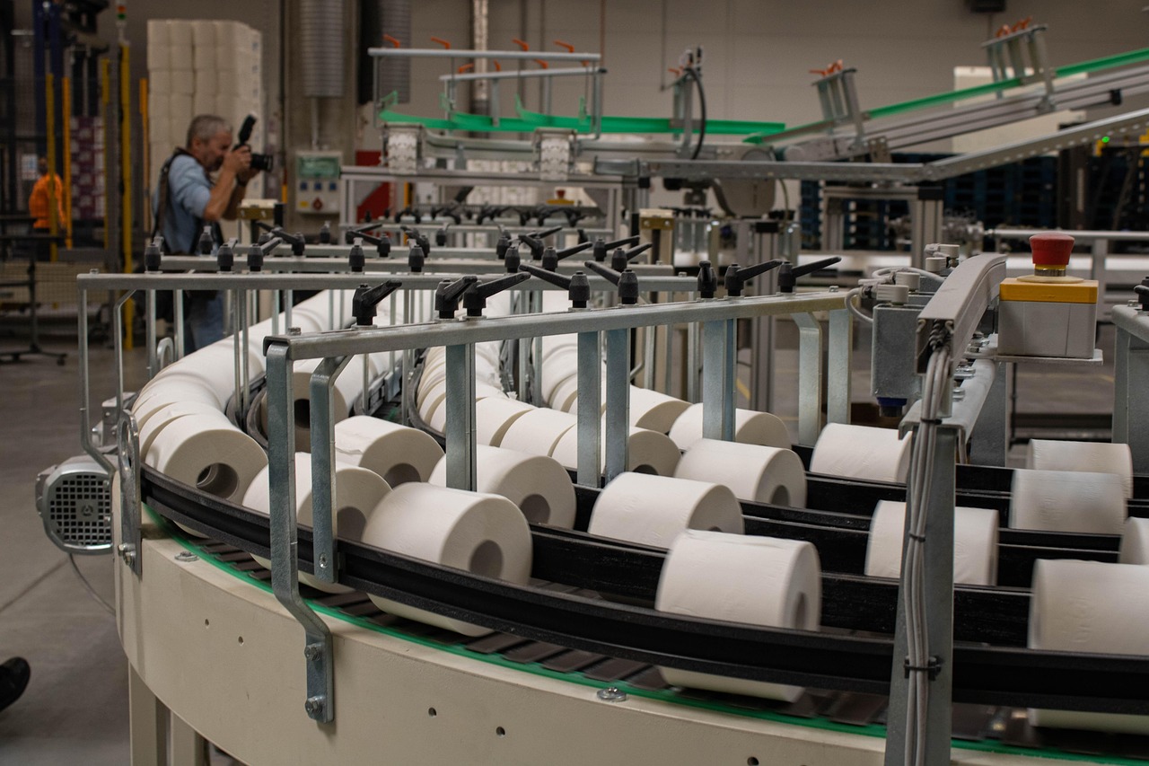 Consulenza per i processi aziendali 3 processo industriale carta